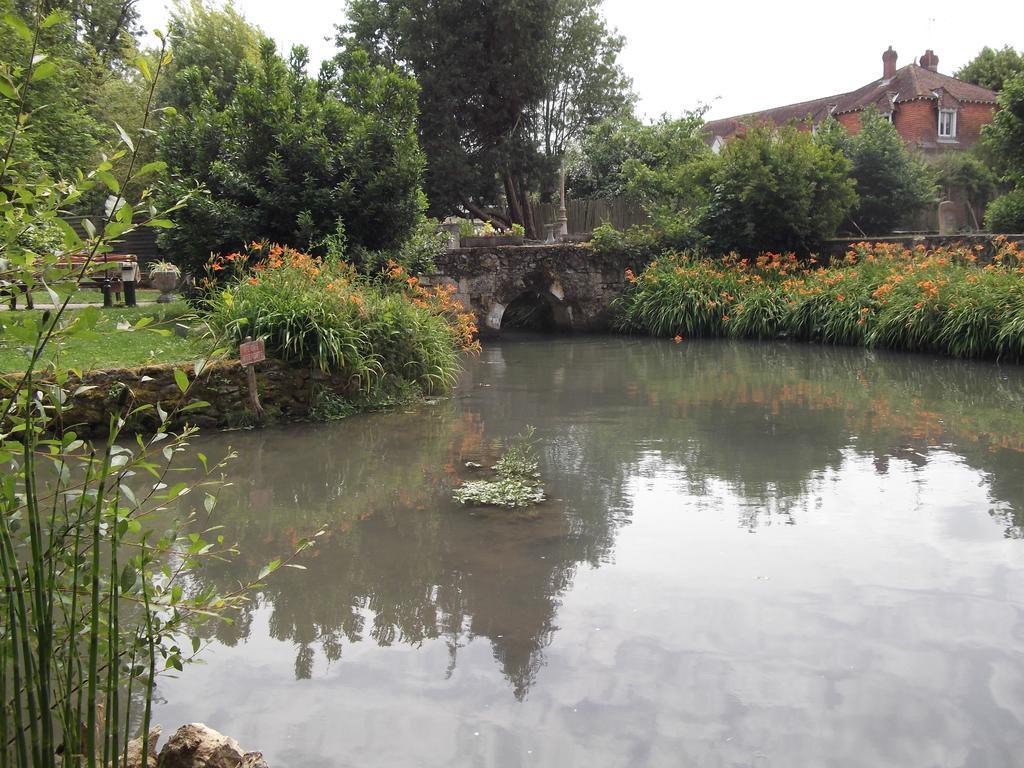 Le Moulin Du Modon Proche Du Zooparc De Beauval Bed & Breakfast Couffy ภายนอก รูปภาพ